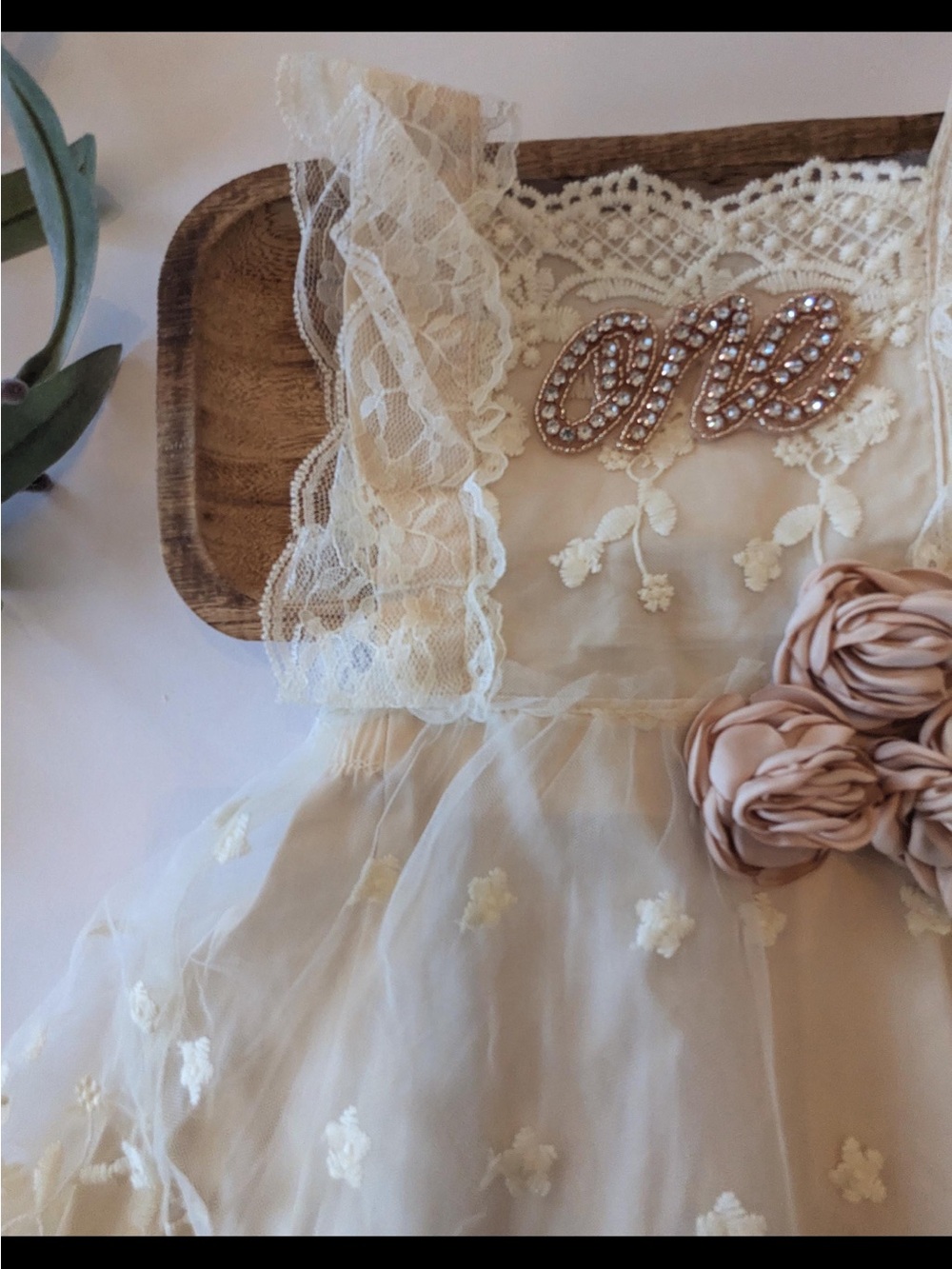 1st birthday Lace & Blush Flower Accent Dress